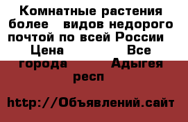 Комнатные растения более200видов недорого почтой по всей России › Цена ­ 100-500 - Все города  »    . Адыгея респ.